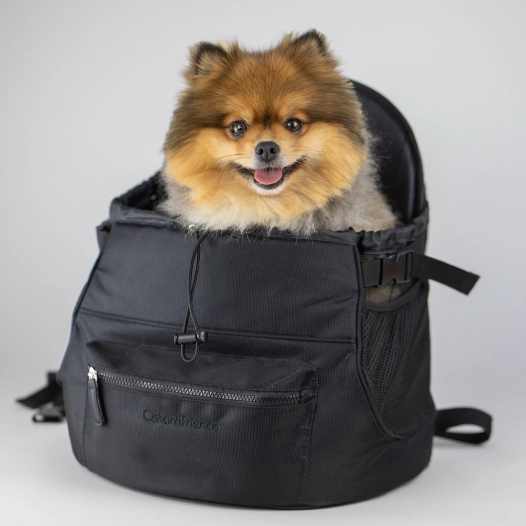 Small Dog Purse Explorer/Kaki – SCARAMUZZA ECO SHOP