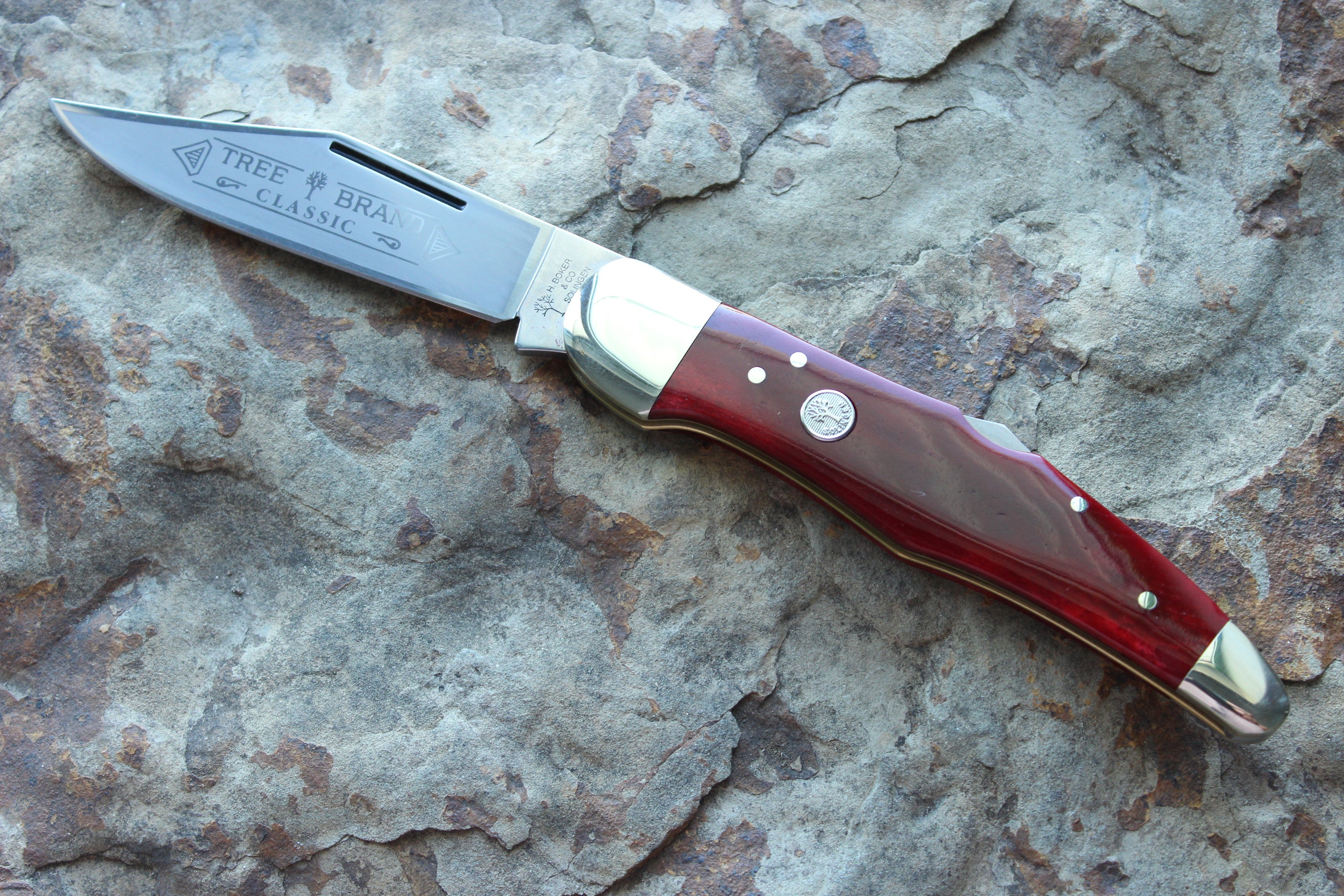 Böker Large Lockback Single Blade Hunter with Red Bone handles (BK1011