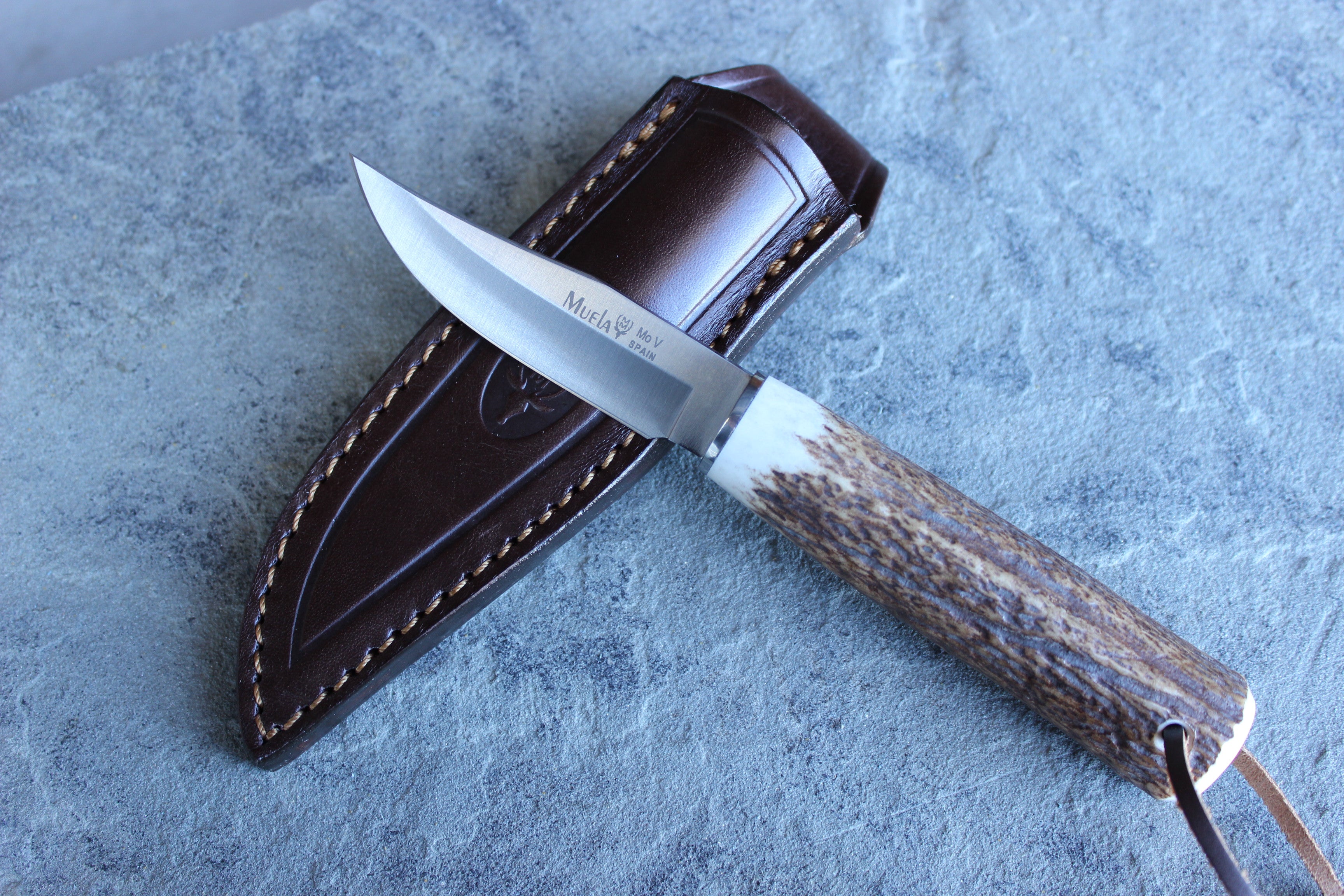 Currently news knives and handmade folding knives Muela.