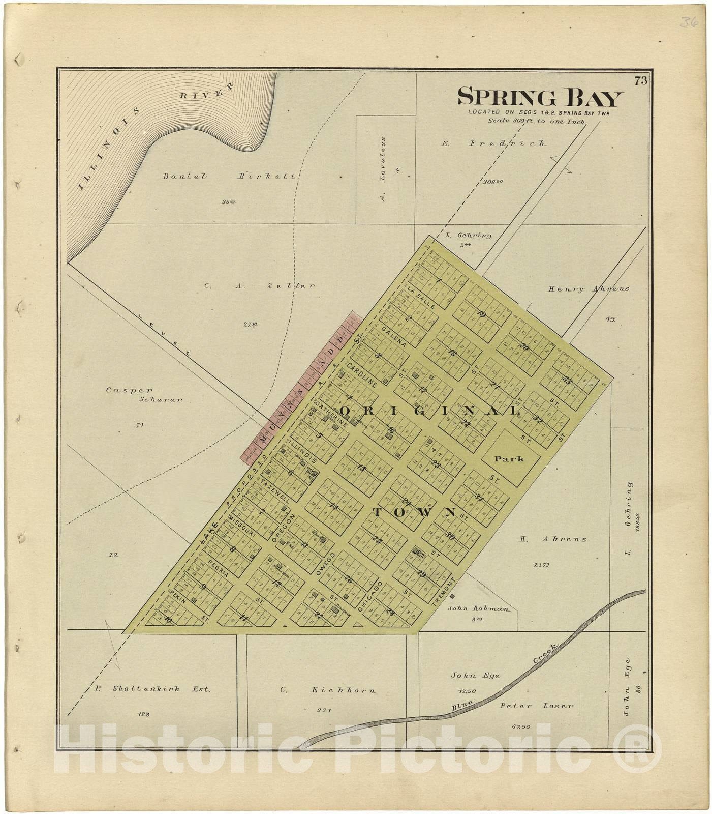 Woodford County Plat Map Historic 1893 Map - Plat Book Of Woodford County, Illinois - Spring Ba -  Historic Pictoric