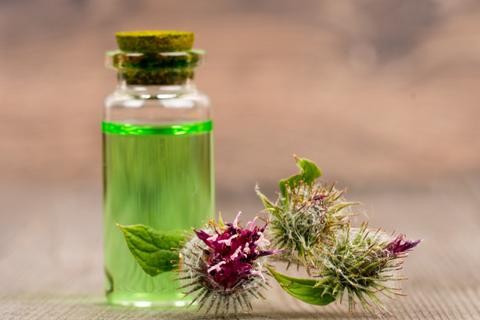 Can Natural Oil Give You Longer, Thicker Lashes? Burdock Oil Benefits