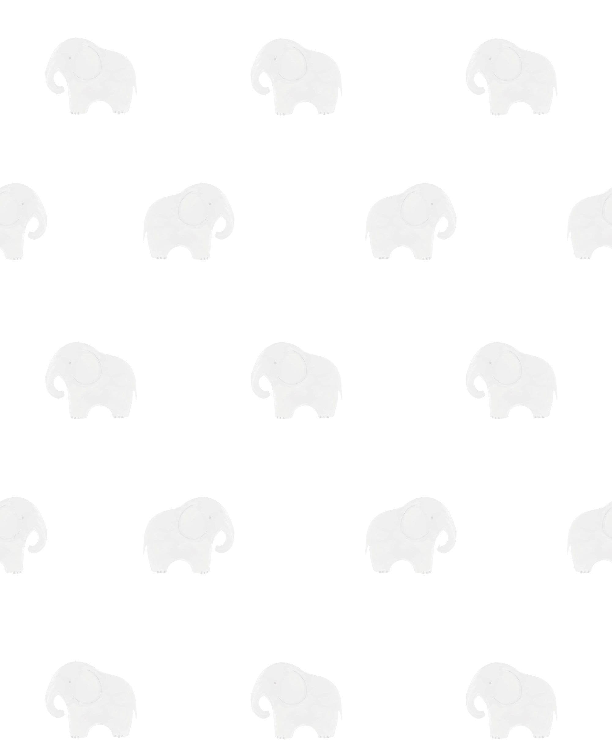 Elephant Wallpaper - Welcome To The World