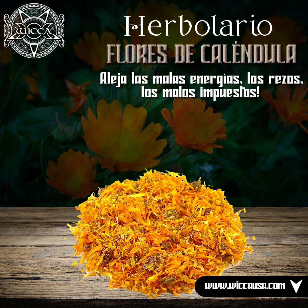 Herbolario: Flores de Caléndula