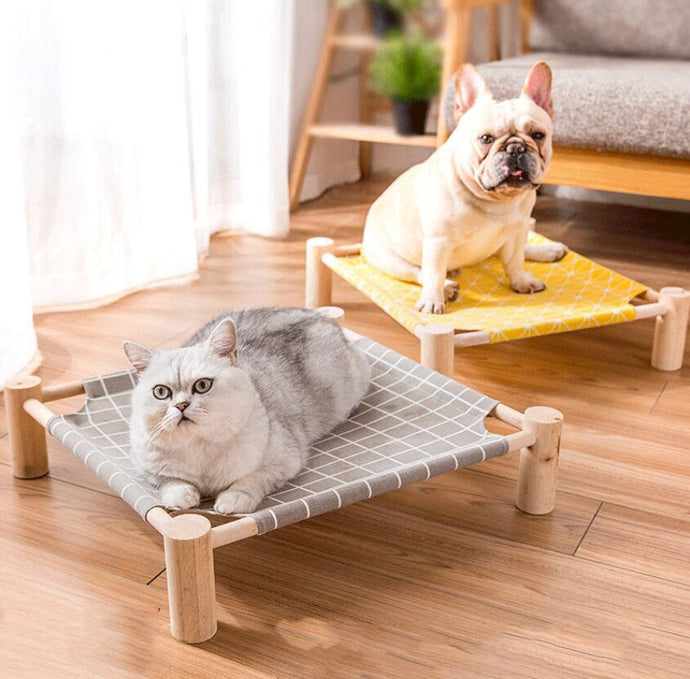 dog lounge bed