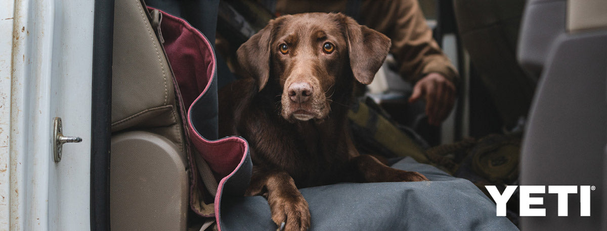 YETI Pet Gear, YETI Dog Bowls & Blankets