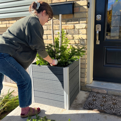 A person arranging winter greenery in a planter box