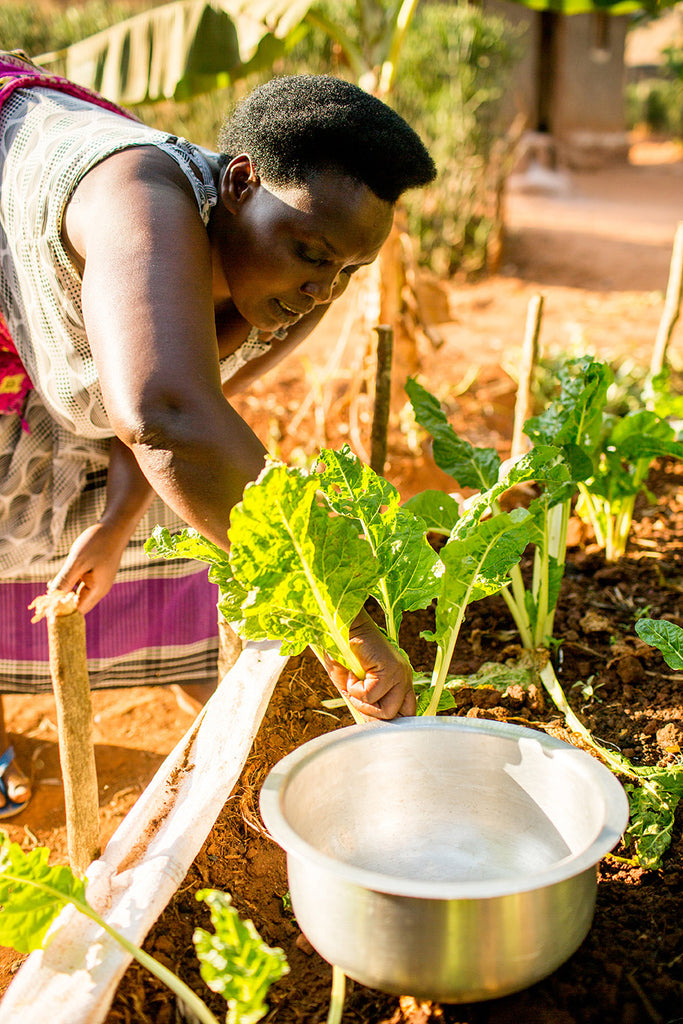 Faith gardening