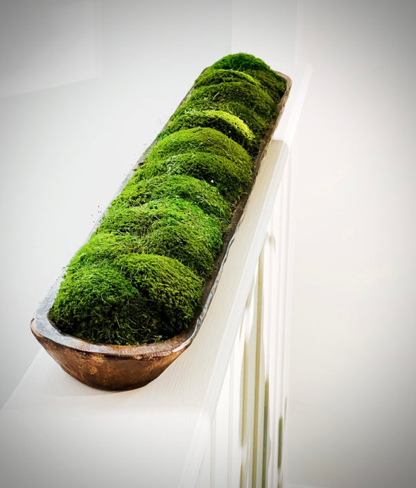 Premium Olive Wood Moss Bowl – The Moss Shop