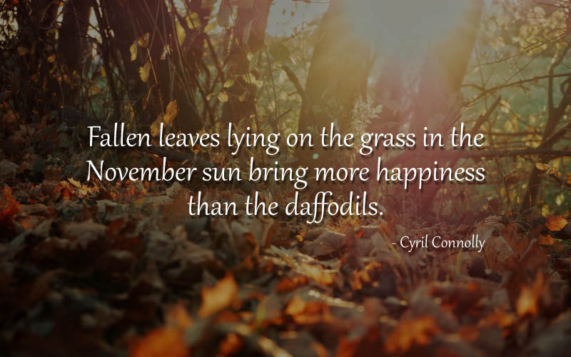 November-Quotes-Images-2