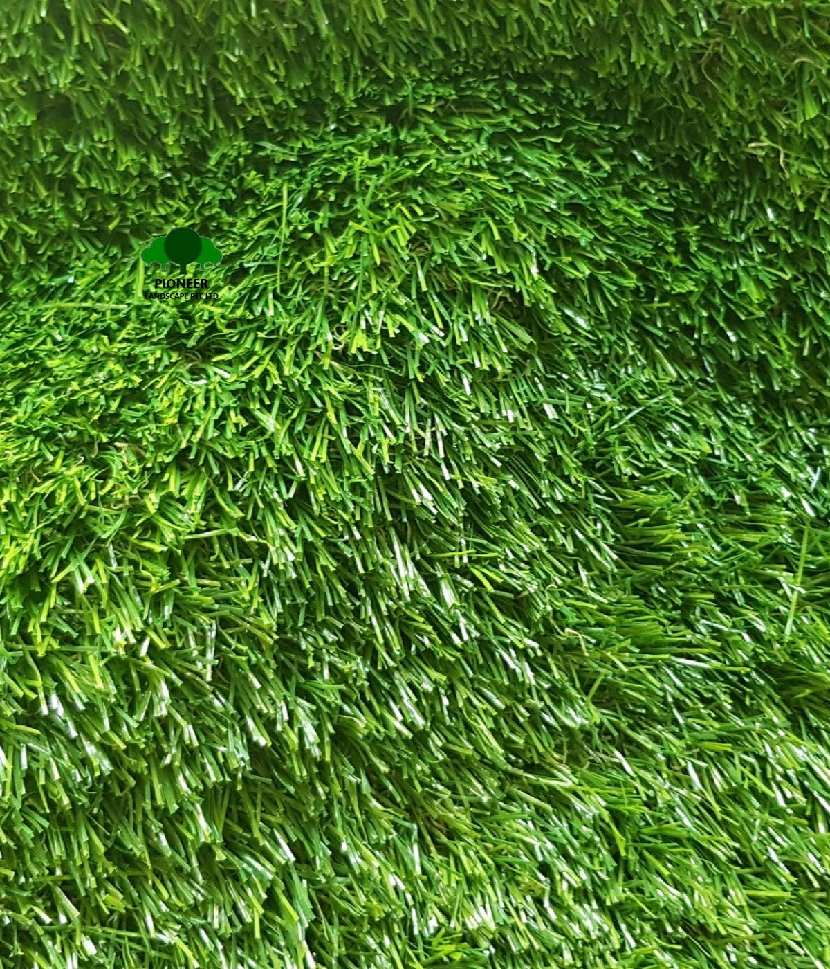 Artificial Turf Grass - Pile Height 35mm (2m Width x 1m Length) – Pioneer  Landscape Online Store