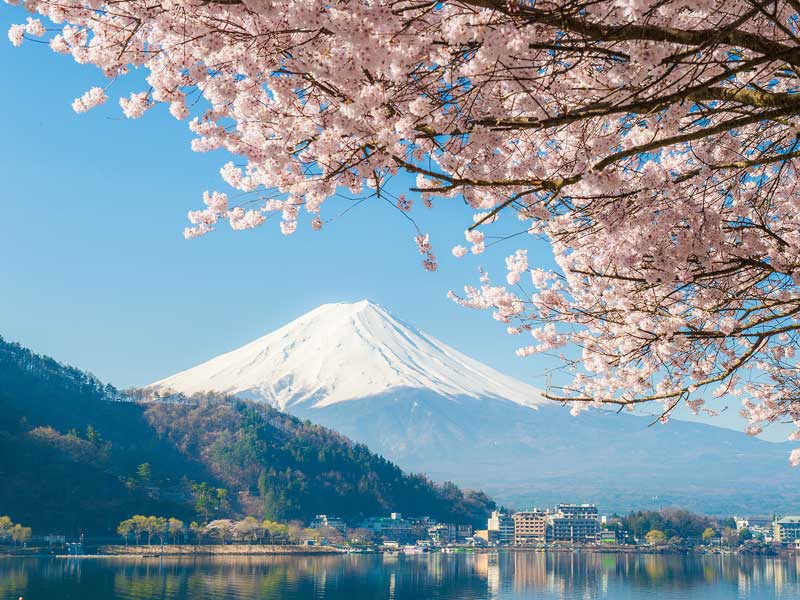 Vue panoramique mont fuji