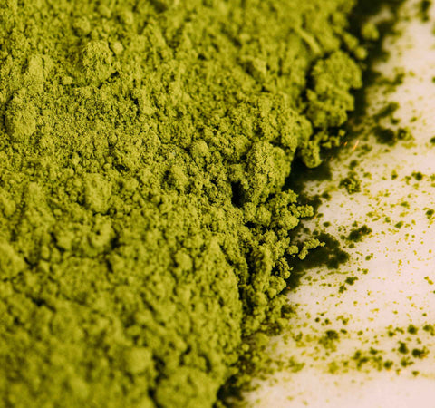 poudre matcha