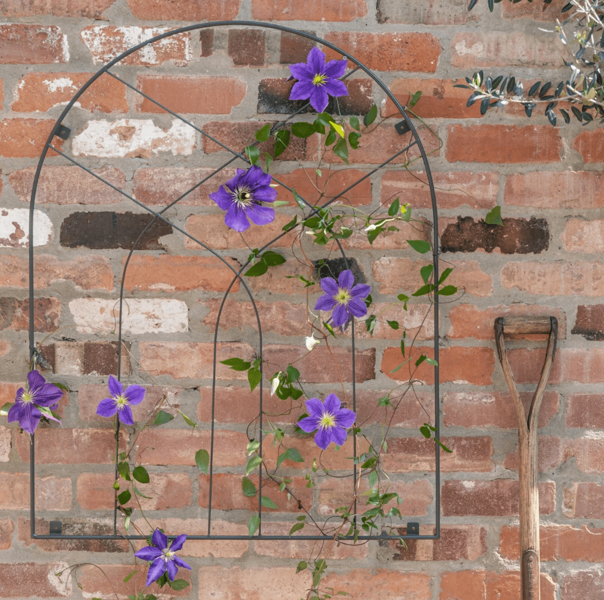 Outdoor Arch Trellis by Ivyline