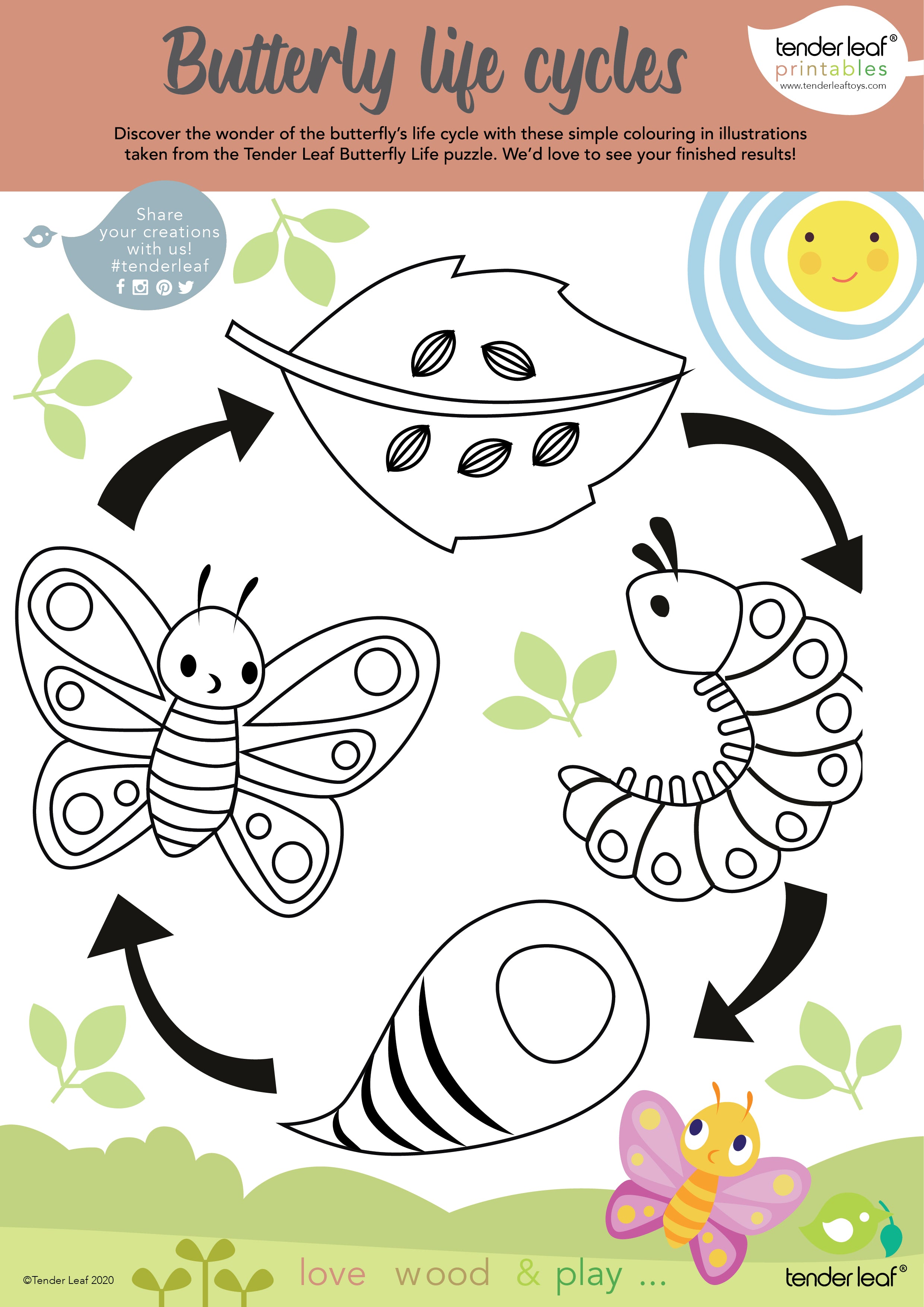 butterfly life cycle free download printable activity for children