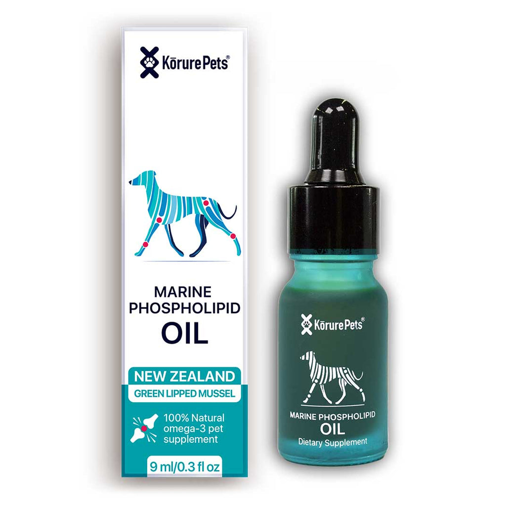 which oil is best for dogs