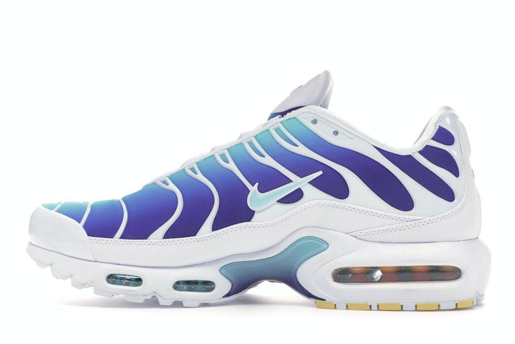 nike air max plus bleached aqua