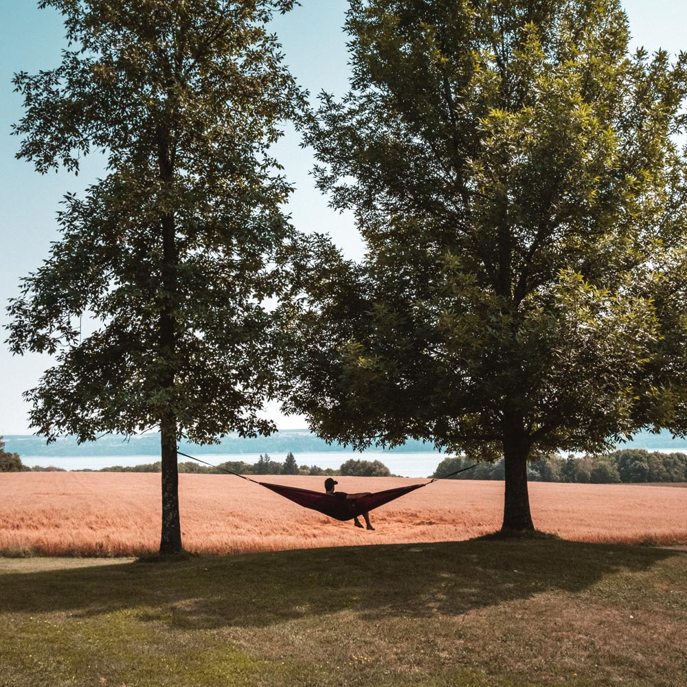 Hamac entre deux arbres