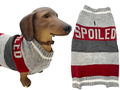 Vibrant Life "Spoiled" Dog Sweater
