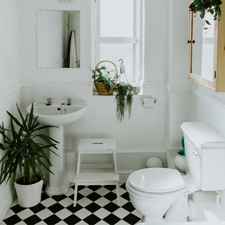 Salle de bain : les solutions naturelles anti moisissure