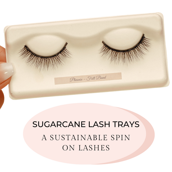 sugarcane lash trays sustainable biodegradable makeup