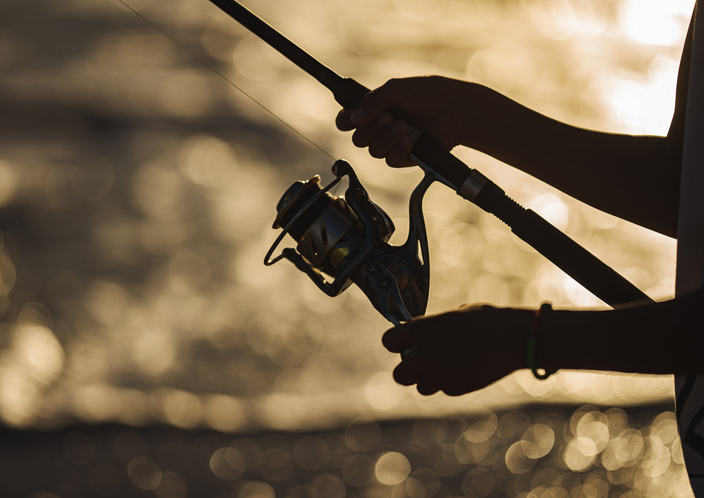 How To Pick The Best Saltwater Fishing Rods – Sparkley Fish