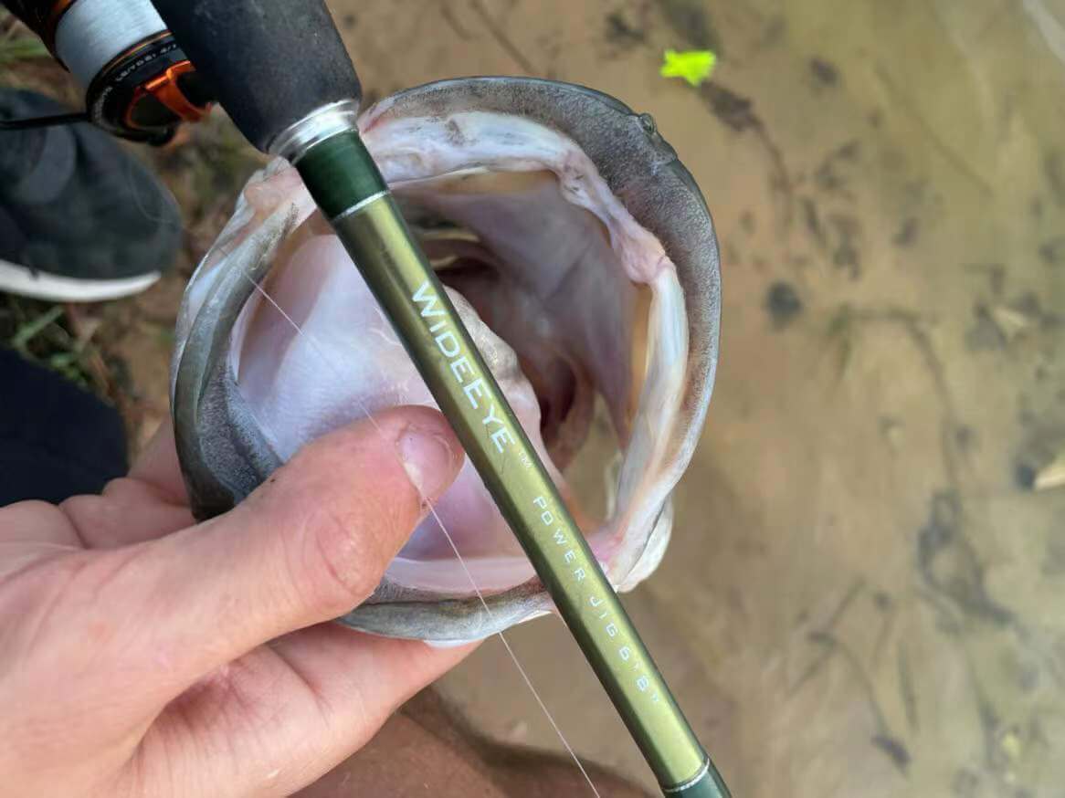 What Is The Best Fishing Pole For Trout? – KastKing