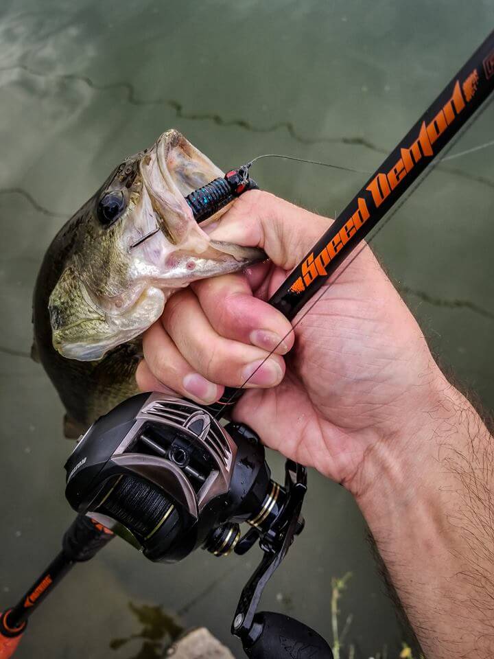 Best Baitcasting Rods for Bass in 2023