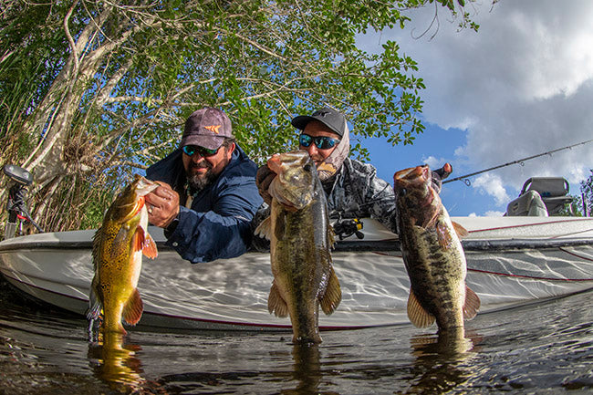 Bass fishing tips