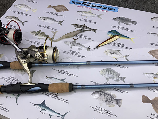 Best Freshwater Fishing Rods – KastKing