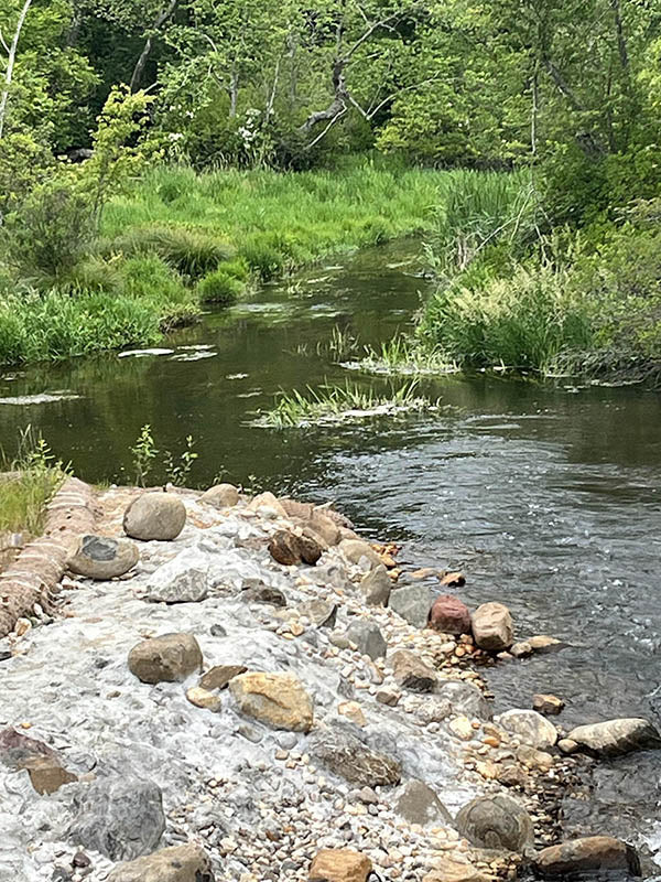 Best river hot spot for freshwater fishing