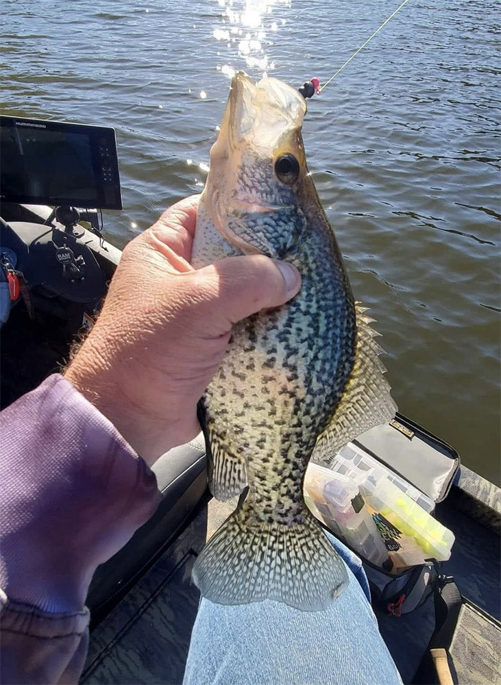 Crappie Fishing: A Beginner's Guide – KastKing