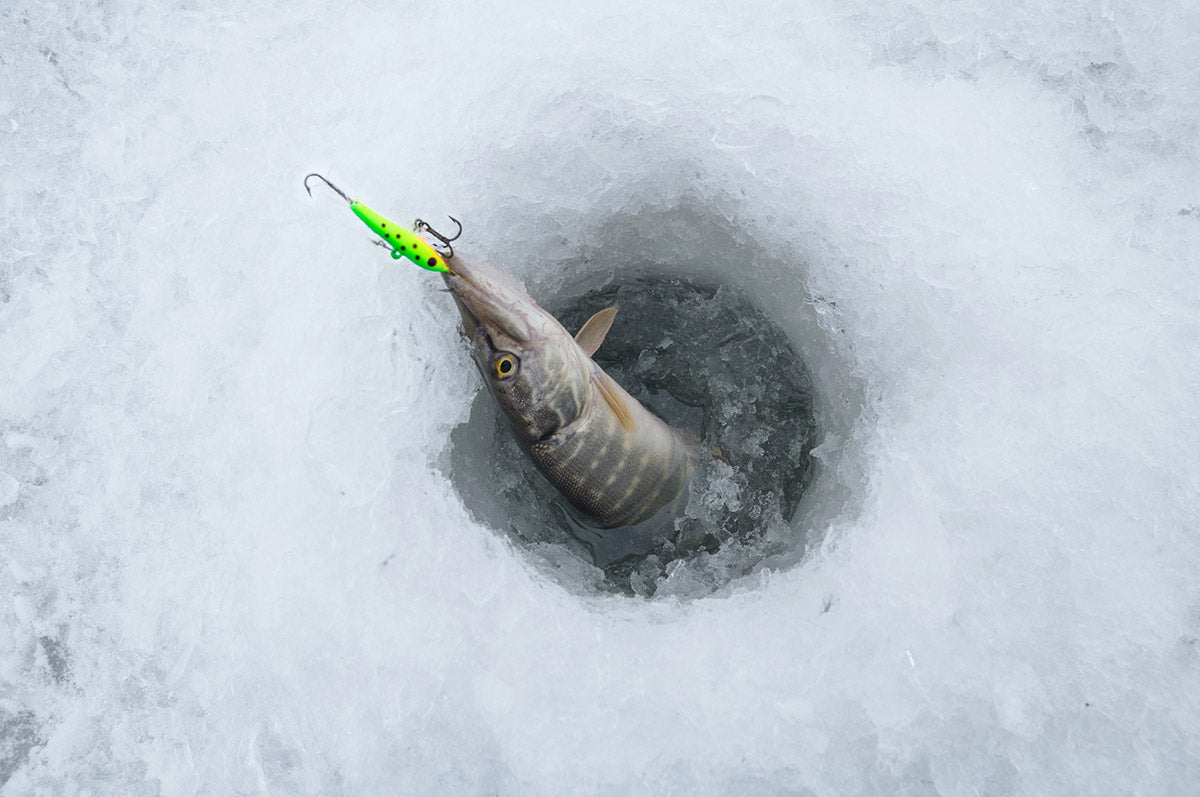 What's the Difference Between Ice & Standard Fishing Line?