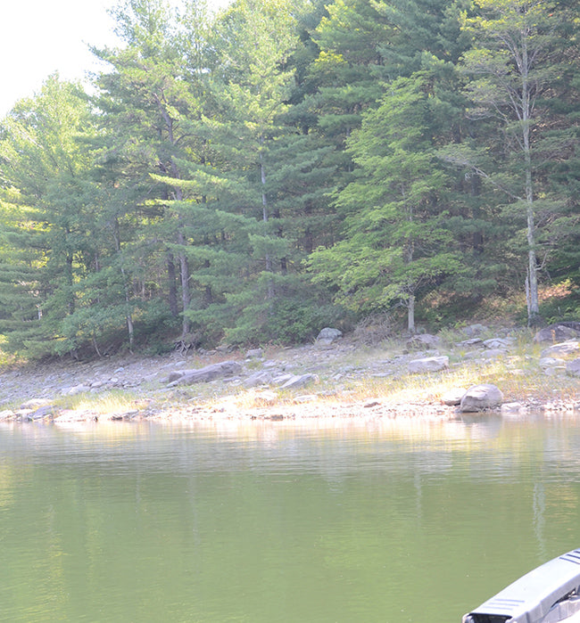 Low water bank fishing