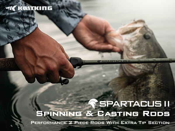 KastKing Spartacus II Twin Tip Fishing Rods, Spin - 7'0 - M Power - Fast,  Spinning Rods -  Canada