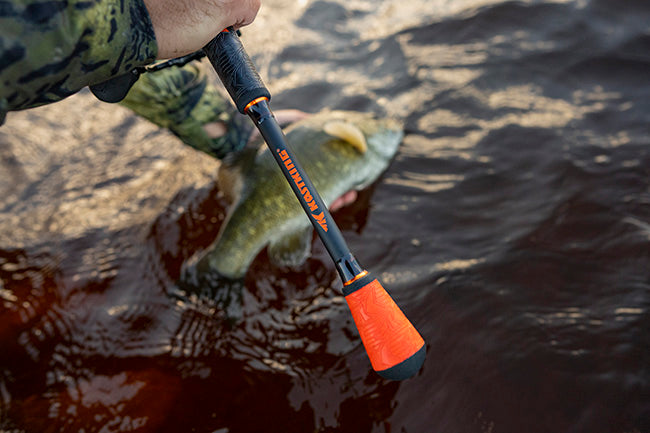 Smallmouth VS Largemouth Bass