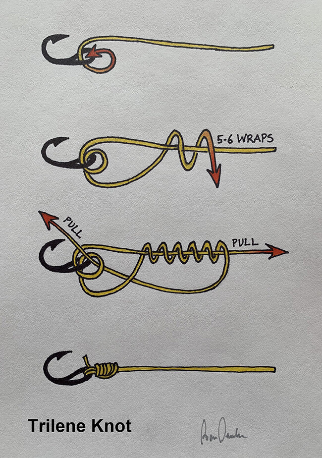 Fishing Knots: Trilene Knot - One of the BEST Fishing Knots for