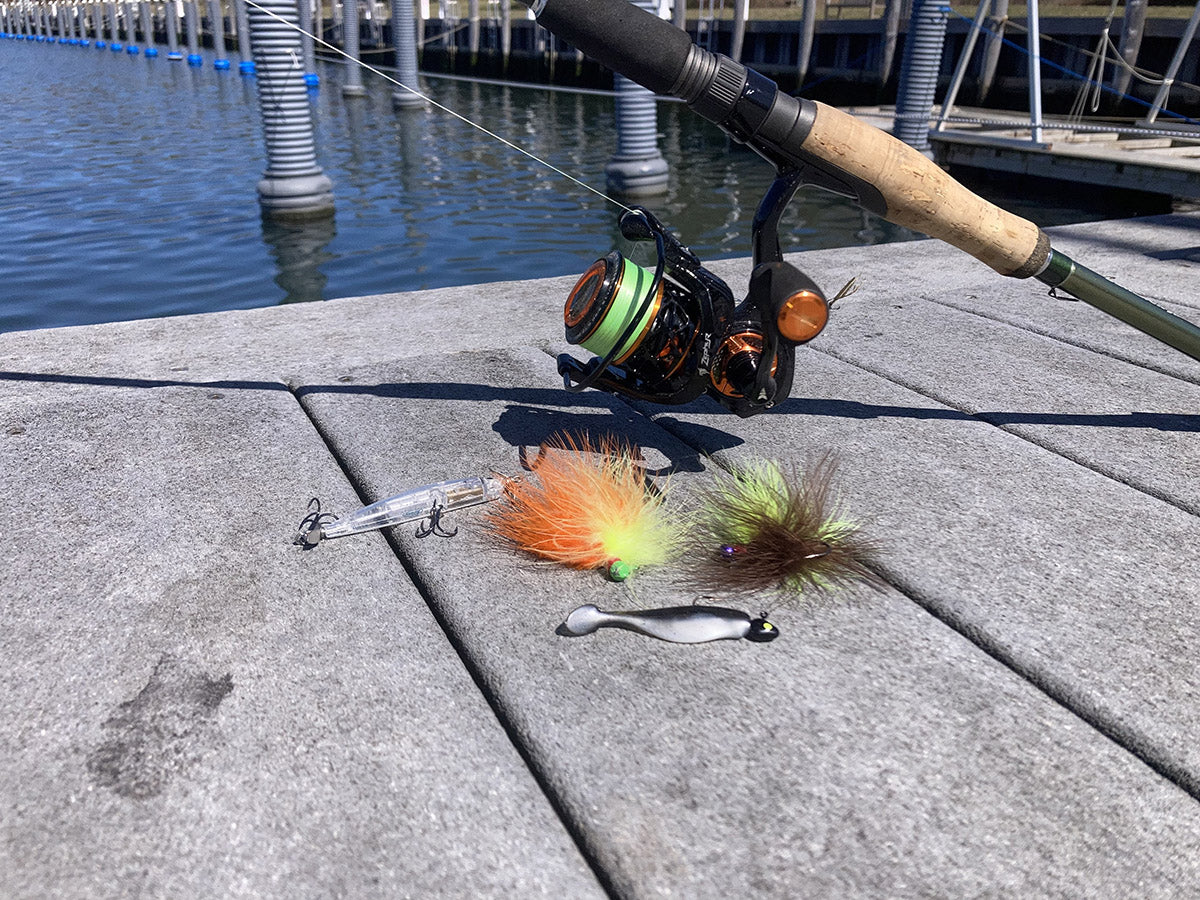 Buyer's Guide: BFS (Bait Finesse System) Rod and Reel Combos – KastKing