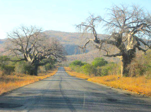 the road to lake kariba 