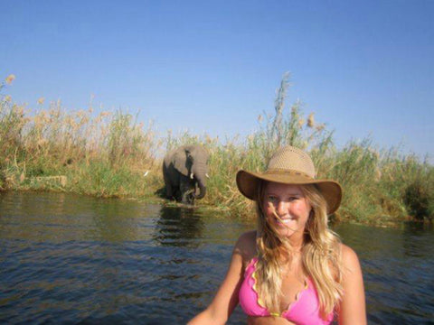 african elephant by the river 