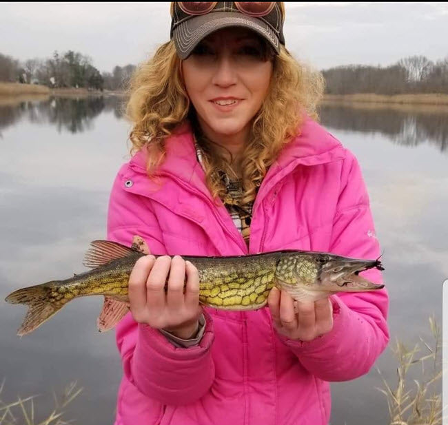 winter fishing Be careful handling pickerel, they have sharp teeth.