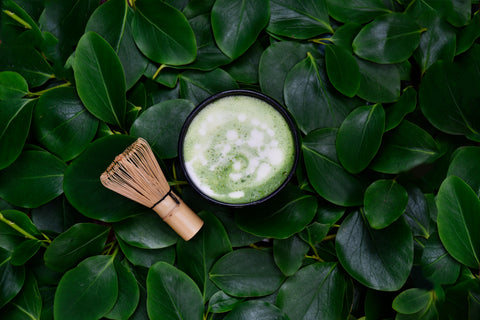 Matcha outdoors