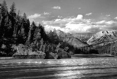 Majestic (1 of 1)
