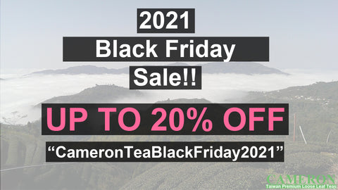 2021 Black Friday Sale