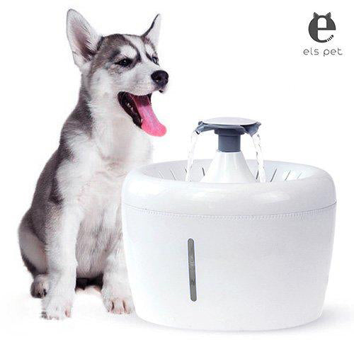 are dog water fountains safe