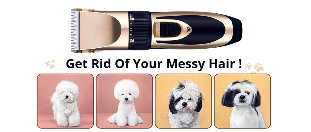 Pet shaver and groomed dogs