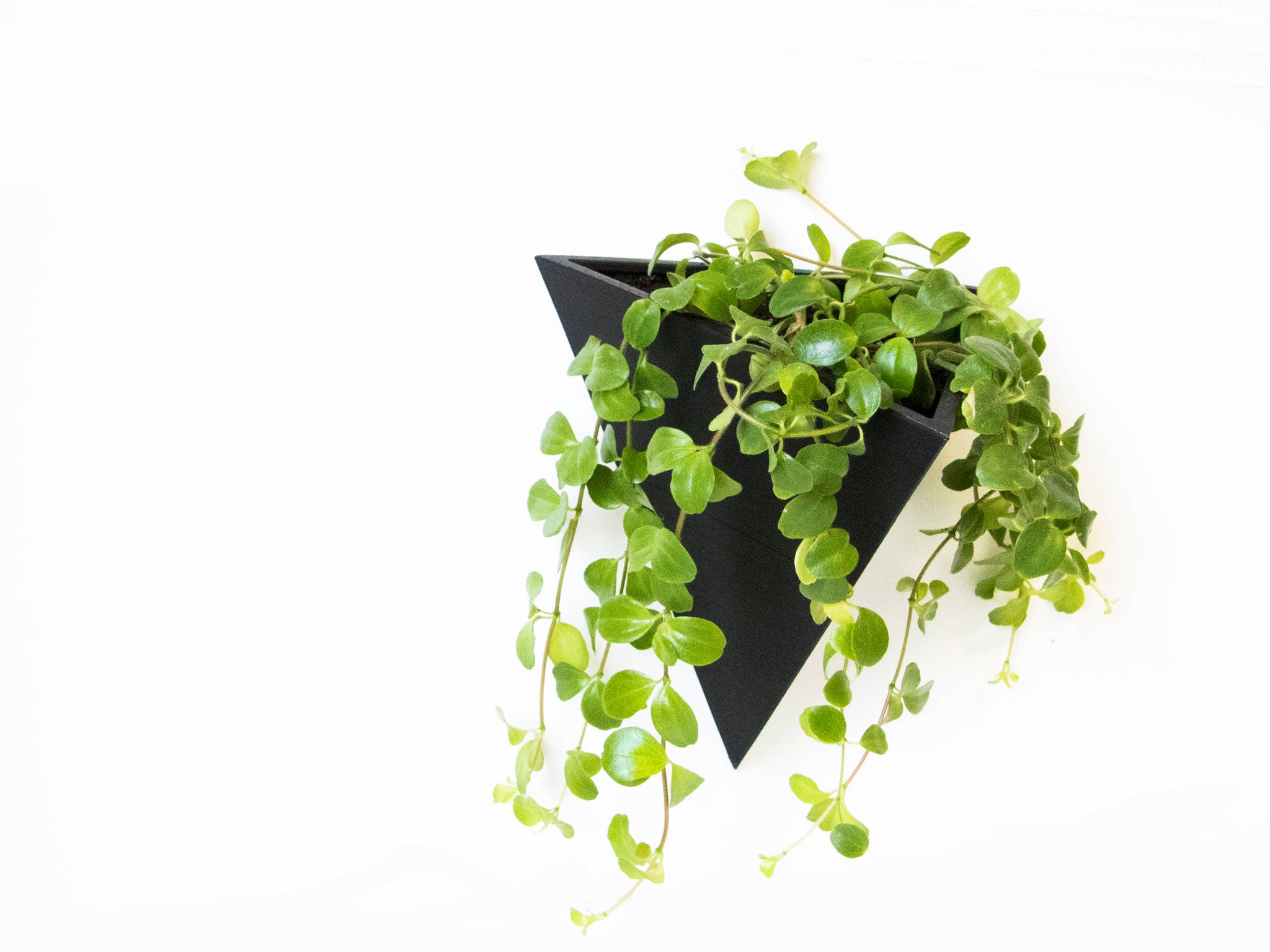 aansluiten Platteland renderen Driehoekige plantenbak in meerdere kleuren en maten – greendesk.shop