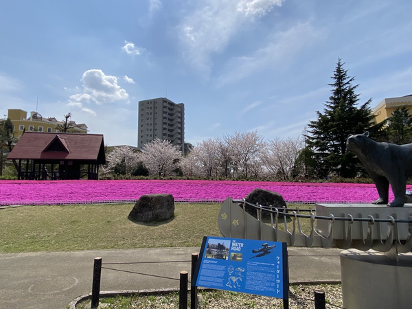 ミササガパーク（猿渡公園）