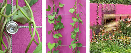1.6mm-Wire Garden Plant Climbing Green Wall Mesh Stainless Steel