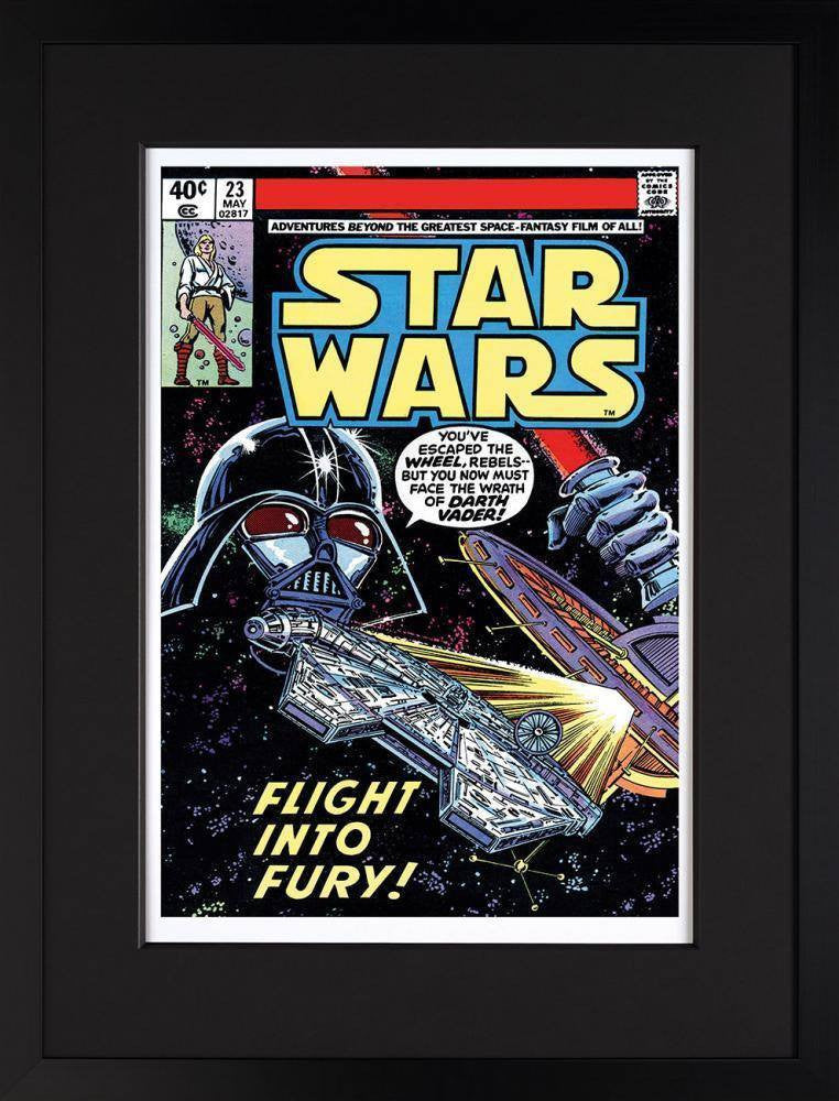 Star Wars #23 - Flight Into Fury Stan Lee
