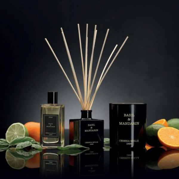 Cereria Molla Fig & Citrus Reed Diffuser – Innovative Home Brands